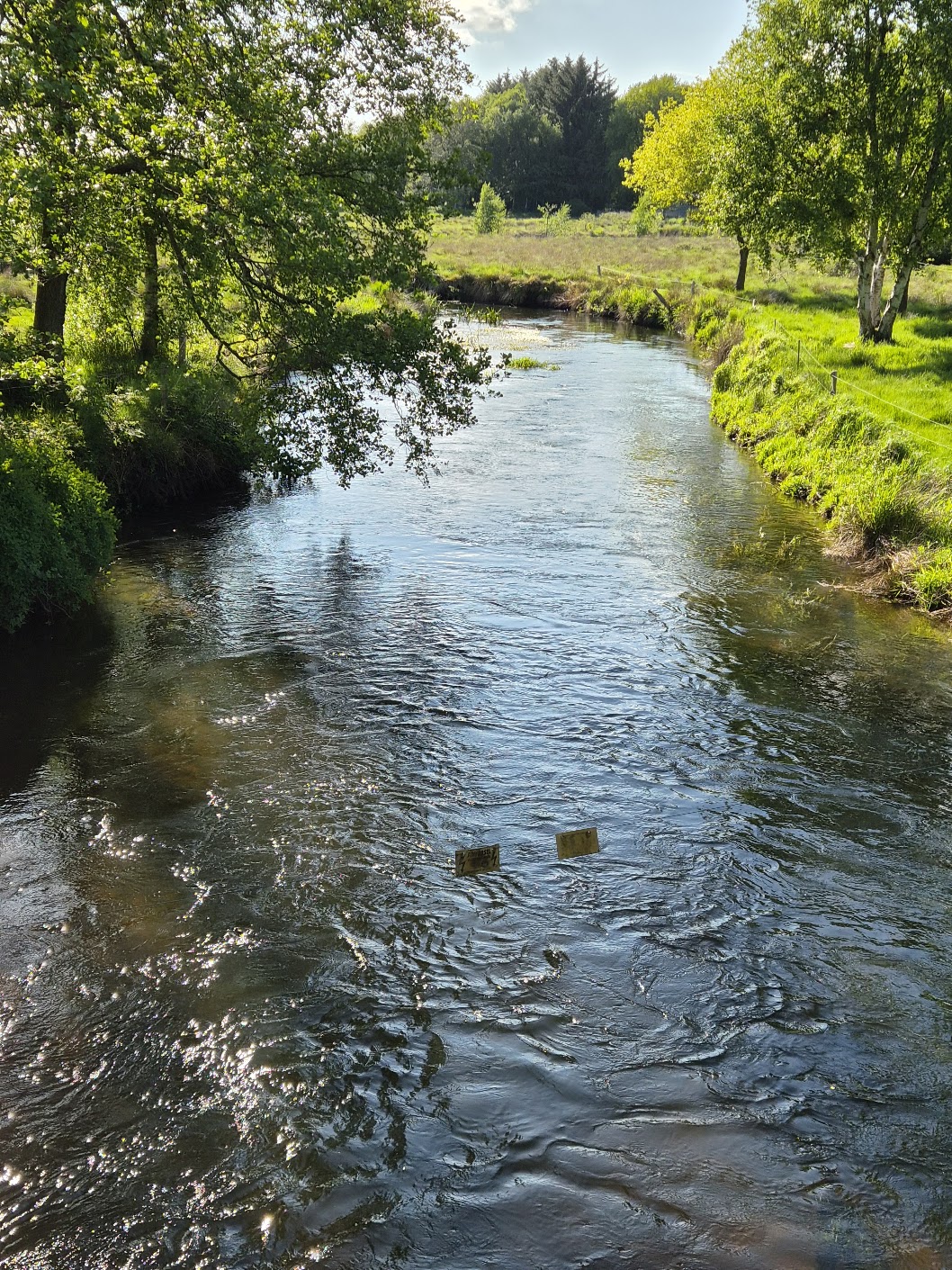 Natur og Dyr 05